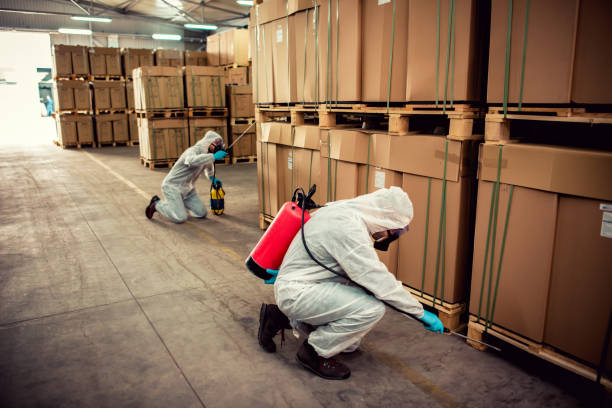 Best Rat Extermination Near Me  in Blue Ash, OH