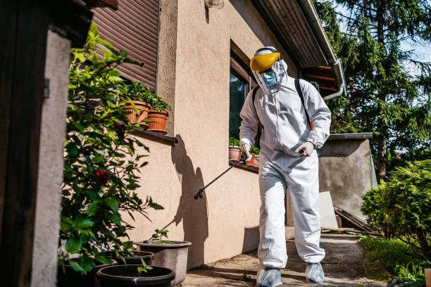 Best Residential Pest Control  in Blue Ash, OH