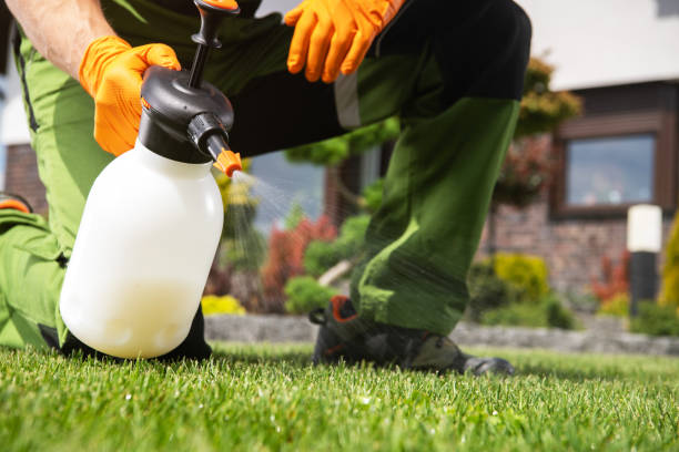 Best Affordable Pest Control Services  in Blue Ash, OH