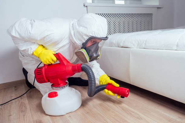 Best Pest Control Near Me in Blue Ash, OH