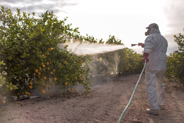 Best Pest Prevention Services  in Blue Ash, OH