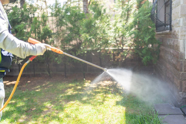Best Mosquito Control Services  in Blue Ash, OH