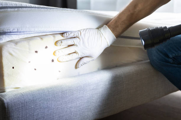 Best Pest Control for Homes  in Blue Ash, OH