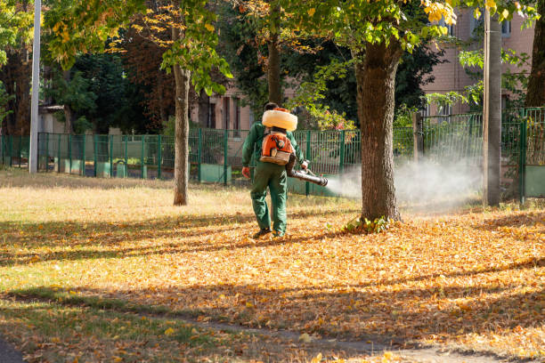 Best Flea Control Services  in Blue Ash, OH