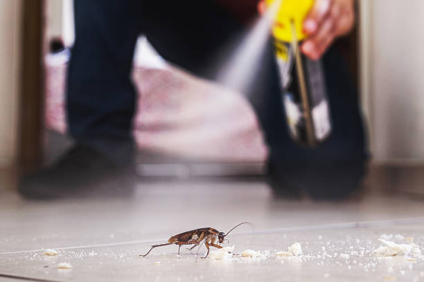 Best Wildlife Control Services  in Blue Ash, OH