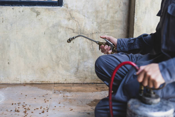 Pest Control Cost in Blue Ash, OH